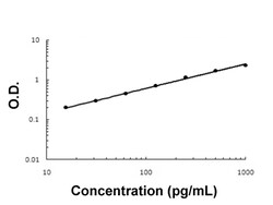 Abnova TGFA (Rabbit) ELISA Kit 1 Kit | Buy Online | Abnova&trade; | Fisher Scientific