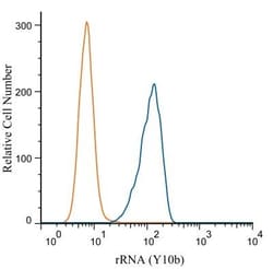 rRNA Antibody (Y10b) - BSA Free, Novus Biologicals 0.025mL; Unlabeled:Antibodies,