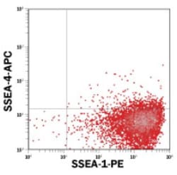 Novus Biologicals v6.5 Mouse Embryonic Stem Cells 2mL | Buy Online | Novus Biologicals&trade; | Fisher Scientific