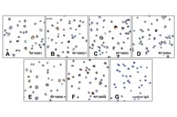 PD1 Detection Set (Risk Free), ProSci