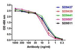 SARS-CoV-2 (COVID-19) S1 RBD Detection Set, ProSci 1 Set | Buy Online | ProSci LLC | Fisher Scientific