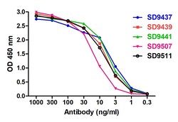 SARS-CoV-2 (COVID-19) S1 RBD Detection Set, ProSci