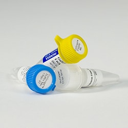 Promega GoScript Reverse Transcription Mix, Oligo(dT), 50 reactions