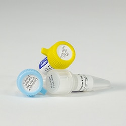 Promega GoScript Reverse Transcription Mix, Random Primers, 50 reactions