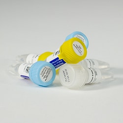 Promega GoScript Reverse Transcription Mix, Random Primers, 100 reactions