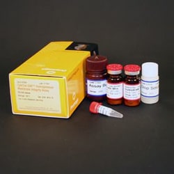 Promega&nbsp;CytoTox-ONE&trade; Homogeneous Membrane Integrity Assay
