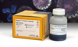 Promega&nbsp;Magne&trade; Protein A Beads, 20% Slurry
