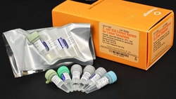 Promega&nbsp;<i>E. coli</i> S30 Extract System for Circular DNA