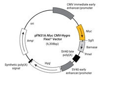 Promega pFC32A <i>Nluc</i> CMV-Hygro Flexi™ Vector
