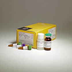 Promega&nbsp;Caspase-Glo 1 Inflammasome Assay, 10ml