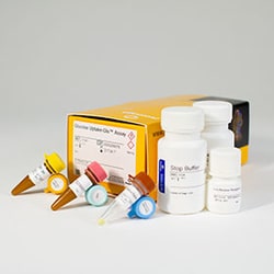 Promega&nbsp;Glucose Uptake-Glo Assay, 10ml