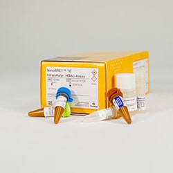 Promega&nbsp;NanoBRET TE Intracellular HDAC Assay, 100 assays