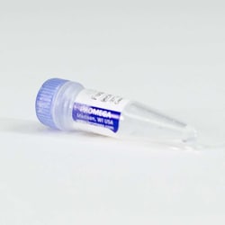 Promega BTK-NanoLuc Fusion Vector, 20microg