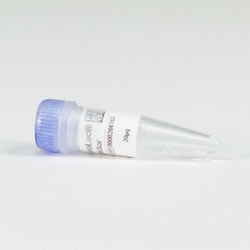 Promega DDR1-NanoLuc Fusion Vector, 20microg