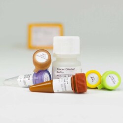 Promega NanoBRET TE Intracellular Kinase Assay, K-5, 1,000 assays 1000 Assays | Buy Online | Promega | Fisher Scientific