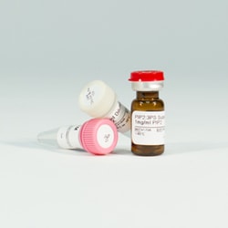Promega PIP2:3PS Lipid Kinase Substrate, 0.25mg, 0.25ml