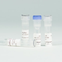 Promega SRC Kinase Enzyme System, 1mg