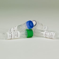 Promega&nbsp;CHK2 Kinase Enzyme System, 10microg