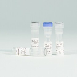 Promega ALK2 Kinase Enzyme System, 10microg