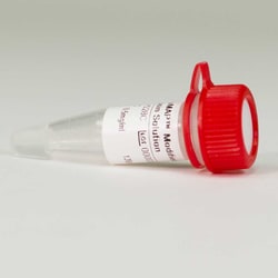 Promega AccuMAP Modified Trypsin Solution, 120microl