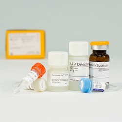 Promega Succinate-Glo JmjC Demethylase/Hydroxylase Assay, 10,000 assays