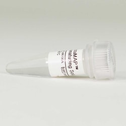 Promega AccuMAP Denaturing Solution, 1ml