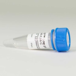 Promega AccuMAP Low pH Resistant rLys-C Solution, 300microl