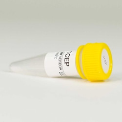 Promega TCEP, 15mg