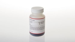 Promega Wizard MagneSil Plasmid Purification System 100 mL | Buy Online | Promega | Fisher Scientific