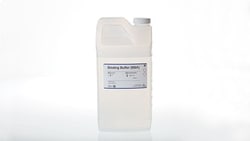 Promega Binding Buffer (BBA) for ReliaPrep™ Large Volume HT gDNA Isolation System