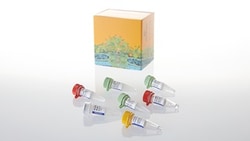 Promega Carboxy Flexi™ Cloning System