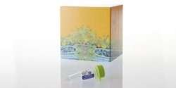 Promega QuantiLum™ Recombinant Luciferase