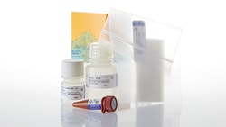 Promega&nbsp;DeadEnd&trade; Colorimetric TUNEL System