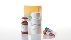 Promega&nbsp;HDAC-Glo 2 Assay, 10ml