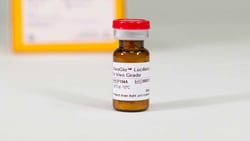 Promega VivoGlo In Vivo Imaging Substrates Luciferin; 50mg:Enzymes and
