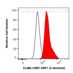 Proteintech CoraLite™ Plus 488-conjugated DRP1 (C-terminal) Rabbit Polyclonal Antibody, Proteintech