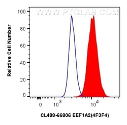 CoraLite Plus 488-conjugated EEF1A2 Mouse Monoclonal Antibody, Proteintech:Antibodies:Primary