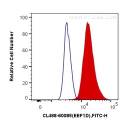 CoraLite Plus 488-conjugated EEF1D Mouse Monoclonal Antibody, Proteintech