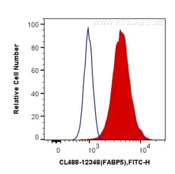 CoraLite Plus 488-conjugated FABP5 Rabbit Polyclonal Antibody, Proteintech:Antibodies:Primary