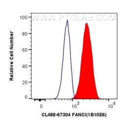 CoraLite Plus 488-conjugated FANCI Mouse Monoclonal Antibody, Proteintech:Antibodies:Primary