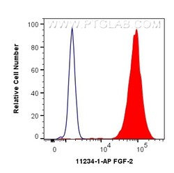 FGF-2 Rabbit Polyclonal Antibody, Proteintech Unconjugated; 20 &mu;L:Antibodies,