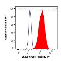 CoraLite Plus 488-conjugated FRZB Mouse Monoclonal Antibody, Proteintech