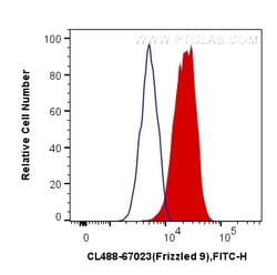 CoraLite Plus 488-conjugated Frizzled 9 Mouse Monoclonal Antibody, Proteintech