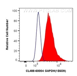 CoraLite™ Plus 488-conjugated GAPDH Mouse Monoclonal Antibody, Proteintech