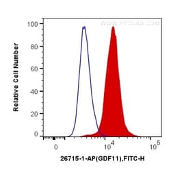GDF11 Rabbit Polyclonal Antibody, Proteintech Unconjugated; 20 &mu;L:Antibodies,