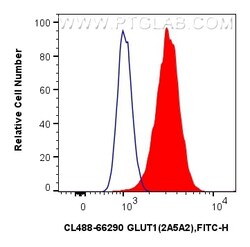 CoraLite Plus 488-conjugated GLUT1 Mouse Monoclonal Antibody, Proteintech 100 &mu;L | Buy Online | Proteintech | Fisher Scientific