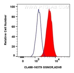 CoraLite Plus 488-conjugated GSNOR,ADH5 Rabbit Polyclonal Antibody, Proteintech