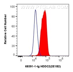 HDDC2 Mouse Monoclonal Antibody, Proteintech:Antibodies:Primary Antibodies