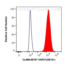 CoraLite Plus 488-conjugated HSP27 Mouse Monoclonal Antibody, Proteintech:Antibodies:Primary