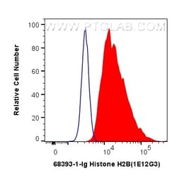 Histone H2B Mouse Monoclonal Antibody, Proteintech:Antibodies:Primary Antibodies